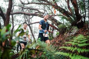 BIB: 
                            <button type="button" onclick="openModal(26297340)" class="btn btn-primary btn-sm float-right btn-popup" data-toggle="modal" data-target=".modal-high-quality">
                        <i class="fas fa-shopping-cart"></i> Add to Cart
                    </button>
                                            <button type="button" onclick="isThisMe(26297340, true)" class="btn btn-success btn-sm float-right btn-popup btn-isme hidden" data-toggle="tooltip" data-placement="bottom" title="นี่คือรูปของคุณใช่ไหม คลิกที่นี่เพื่อเอาเข้าอัลบั้ม">
                        <i class="fas fa-plus"></i> Add to album
                    </button>
                    <button type="button" onclick="isThisMe(26297340, false)" class="btn btn-warning btn-sm float-right btn-popup btn-isnotme hidden">
                        <i class="fas fa-ban"></i> Remove from album
                    </button>